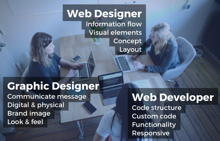 what is the difference between a website designer, website developer and graphic designer?