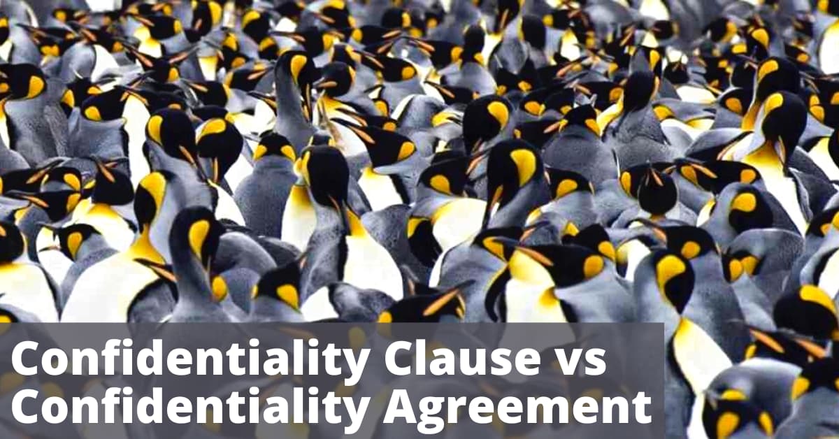 Confidentiality Clause Vs Confidentiality Agreement (NDA)