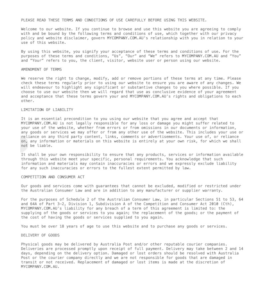 sample page of legal123 consulting website terms and conditions